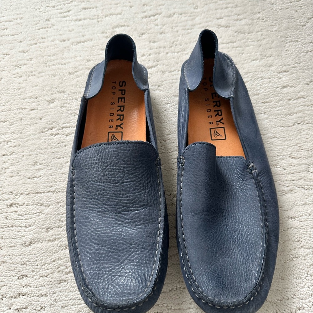 Sperry Men's Navy Boat Shoes